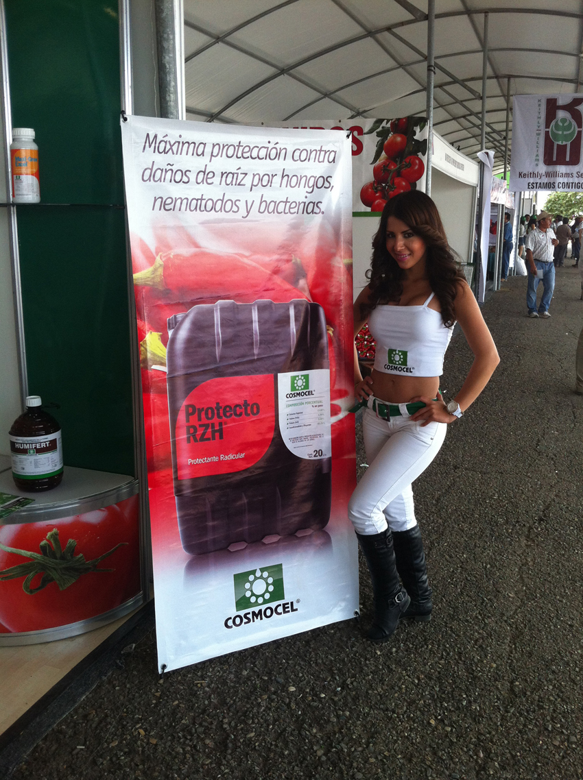 PORTUGAL MARKETING BTL