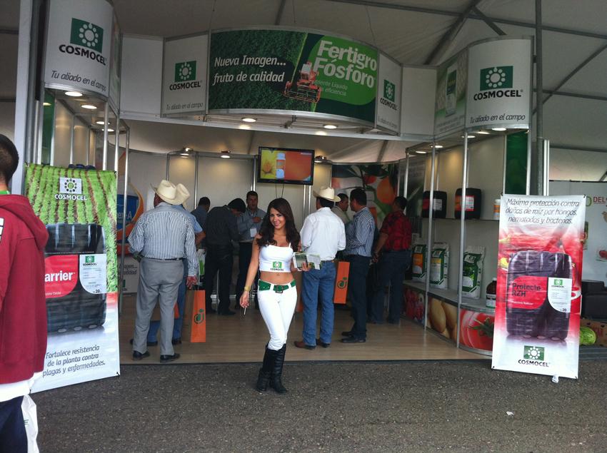 PORTUGAL MARKETING BTL